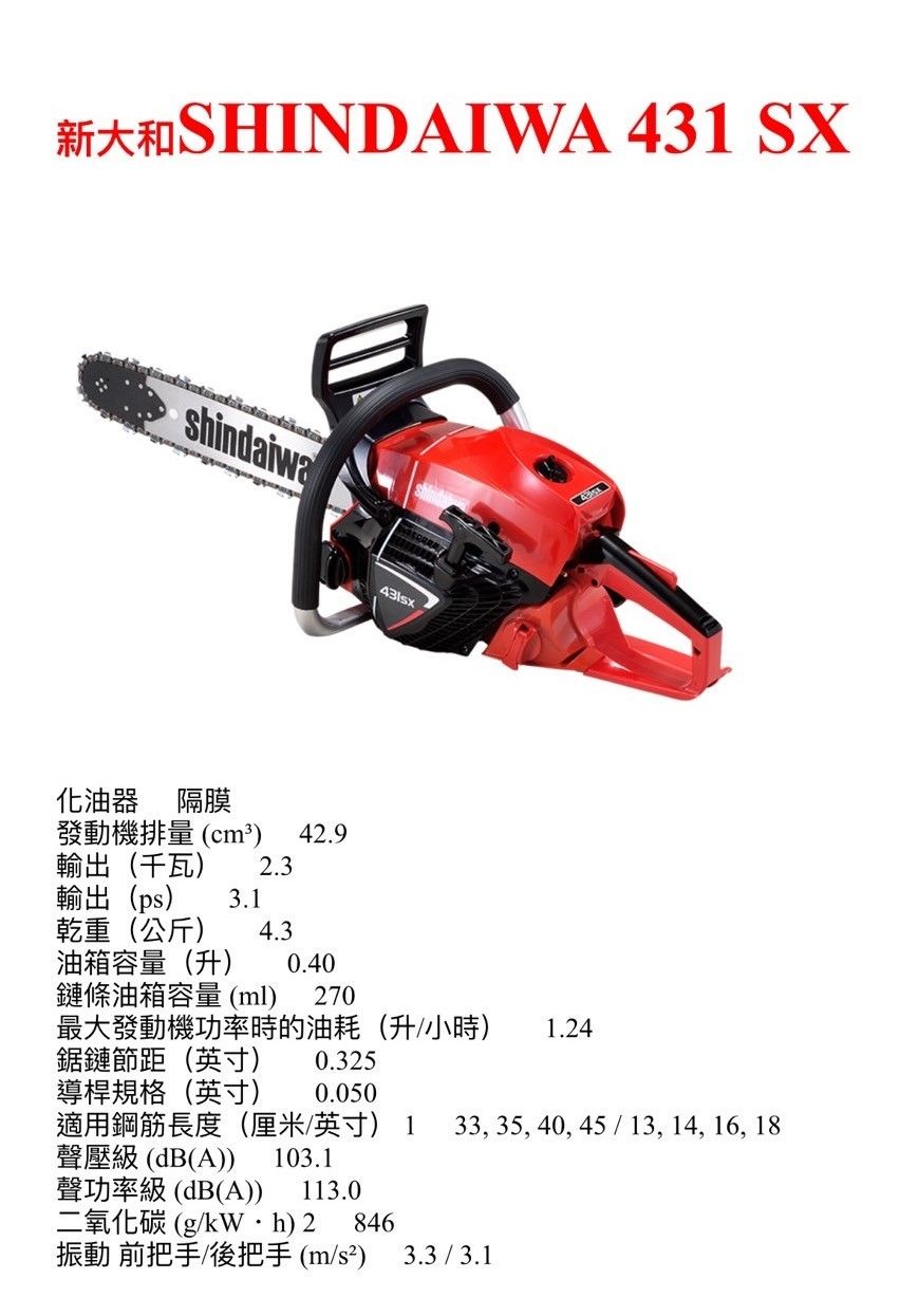 431SX-1.jpg